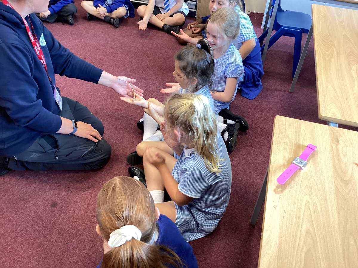 holycrosssthel1's tweet image. Year 4 had a “wild” afternoon meeting lots of exciting animals! Thank you for our visit @AnimalsTakeOver we learnt so much 🐶🐹🐍