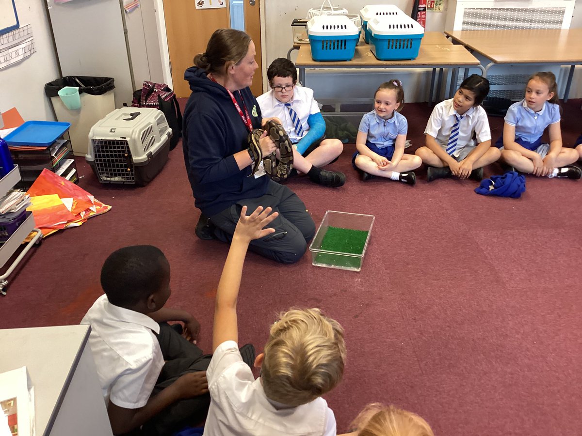 holycrosssthel1's tweet image. Year 4 had a “wild” afternoon meeting lots of exciting animals! Thank you for our visit @AnimalsTakeOver we learnt so much 🐶🐹🐍