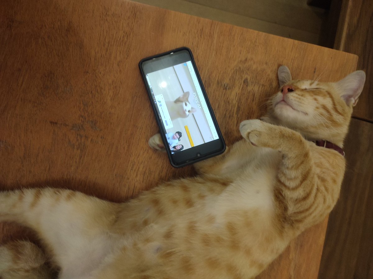 Ada yg ktiduran nnton Bang Windah Basudara