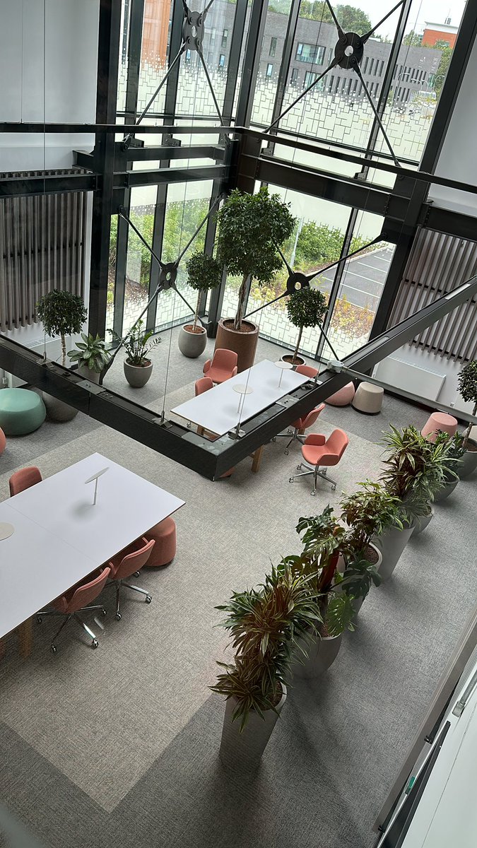 Keele_DSI's tweet photo. Sneak peek of our meeting room in IC7🫣 🪴 We are very much looking forward to showcasing our work and new home on Friday for our #RevolutionDay talking all things #Digital #KeeleDSI https://t.co/d6jvgVJrDX