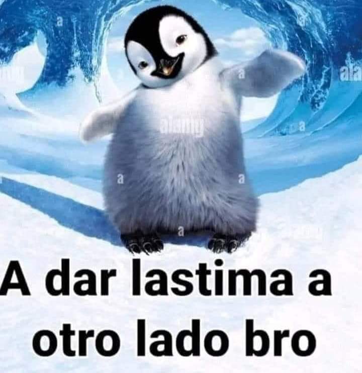 dalas_MX's tweet photo. @Cristia58417465 @NimuVt C cuenta recién creada https://t.co/L7TXGA9mFY