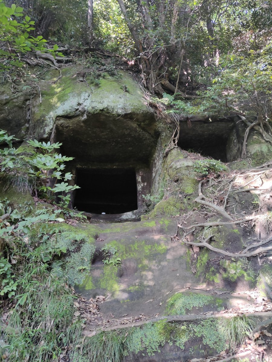 RealExplousive's tweet photo. Some pictures I took whilst in Japan https://t.co/KkkX9tbwrE