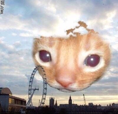 CherryCryptid's tweet photo. Hi
Wow it's been ages since I've posted on this account.
Yes I'm still alive, I just don't talk much  here, like at all. You can find me on discord, same username. I do post elsewhere but that's a teehee secret. We'll see if I end up using this for more than just liking posts... https://t.co/zmN1jX1JnE