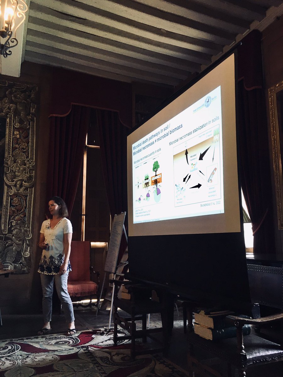 Don’t mistake #MicrobialNecromass with #MicrobialBiomass - Tessa Camenzind @t_camenzind presents her work on microbial death pathways #MicroSoil23