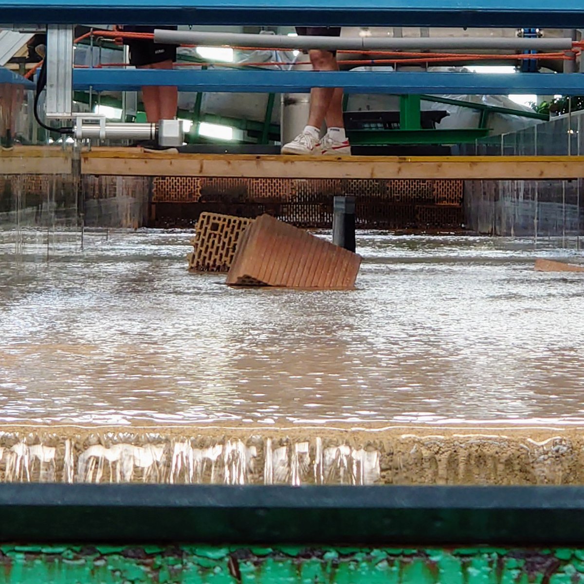 It's #KinderUni again <a href="/tu_wien/">TU Wien</a>! 🐳🐬