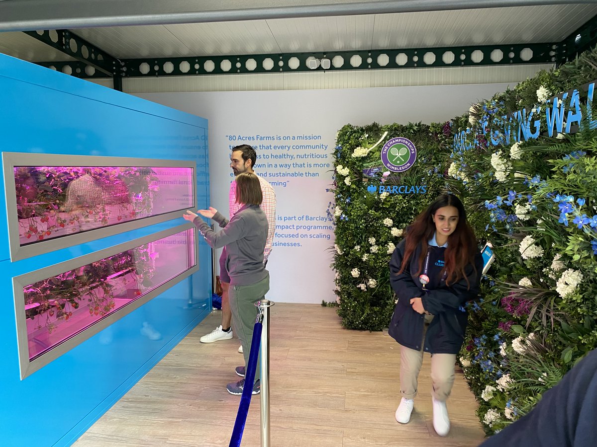 #DidYouKnow that 🍓strawberries and cream🍓 was served at the first <a href="/Wimbledon/">Wimbledon</a> match in 1877? While the tradition continues, client <a href="/80AcresFarms/">80 Acres Farms</a> is bringing a new twist: strawberries from a pop-up vertical farm in the Barclays Clubhouse! #BarclaysxWimbledon