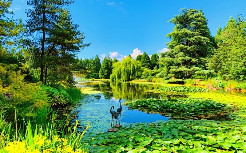 vanroyallimo's tweet photo. Thinking of places to visit while in Vancouver? The #VanDusenBotanicalGarden is a 22 hectare urban oasis that is home to over 7500 plant species sourced from all over the world! Call us today to book your luxury limo for an amazing day!

#Vancouver #RoyalLimo #UrbanGarden #BC https://t.co/RkglhYu2rd