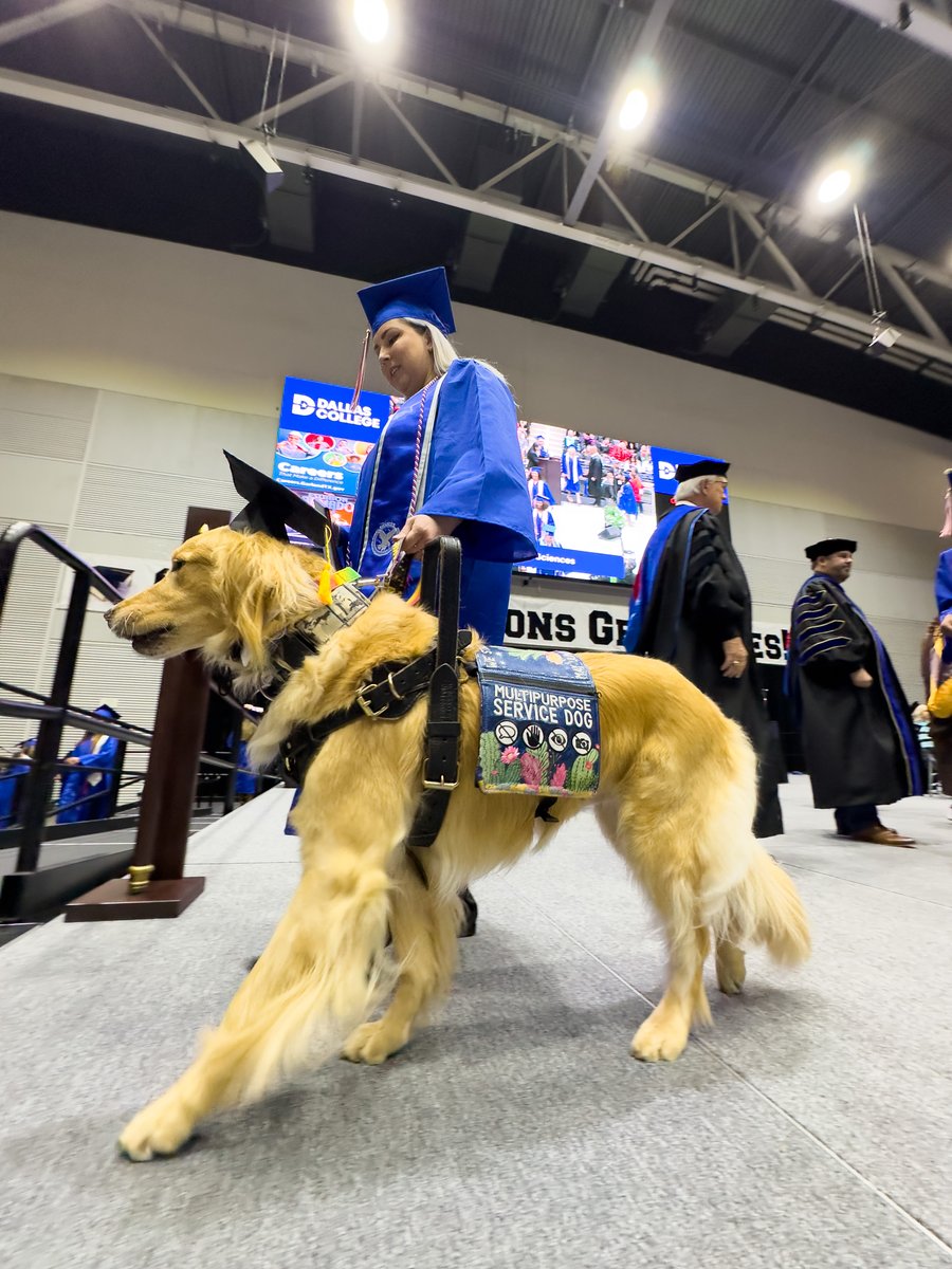 Not to flex, but we might have #AllAmericanPetPhotoDay in the bag this year 🐕 🎓