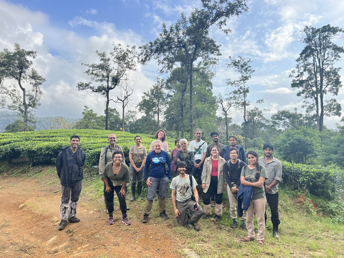 ymalhi's tweet photo. Spent a lovely and fascinating weekend in the company of @ncfindia learning the lessons from 20 years of forest restoration and @NatureRecovery in the Valparai plateau in the tea estate and forests landscape of the Western Ghats https://t.co/eZjWrtadAx