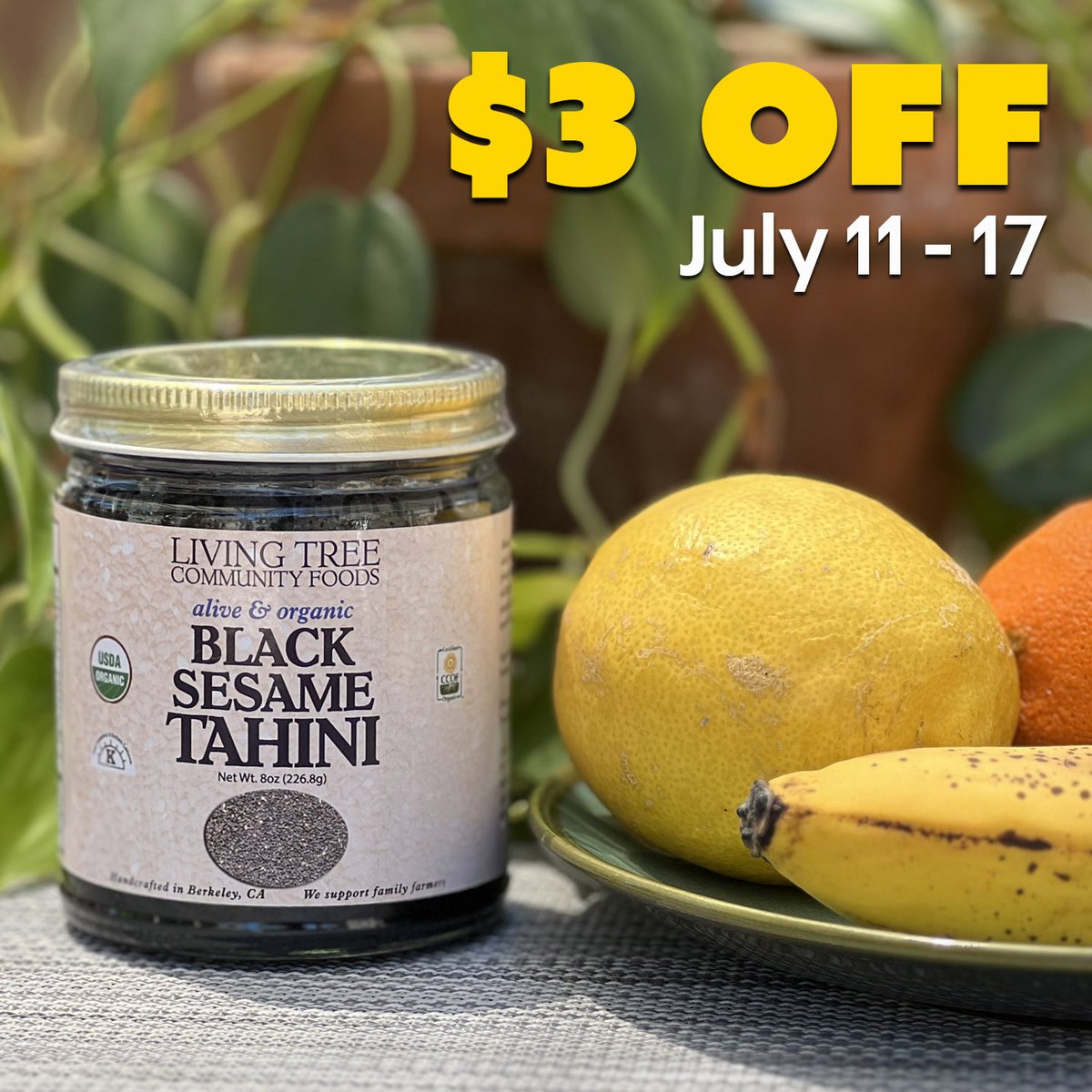 livingtree's tweet photo. $3 off this week! Our Black Sesame Tahini - Raw, Alive &amp; Organic is created from alive, raw organic black sesame seeds grown by family farmers. We slice raw black sesame seeds into a luxurious spread and add organic black sesame oil. #blacksesame #organic
https://t.co/juGKq9dSvK https://t.co/ZYVCy4Oirl