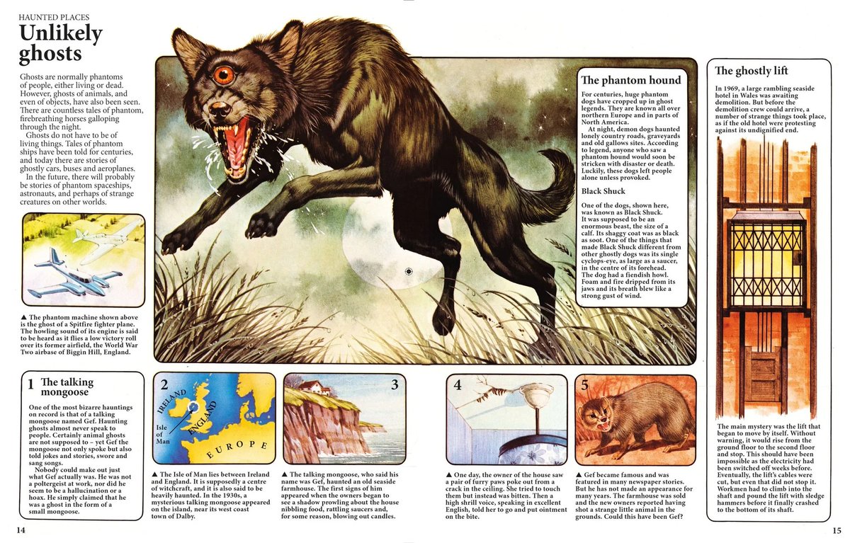 Scarred for Life tweet media