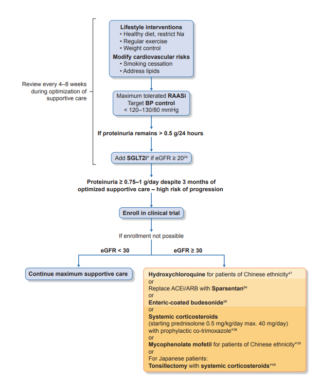 NDTsocial's tweet photo. 📢NEW Treatment Standard:
IgA nephropathy in adults
📸The 4 pathogenic hits of IgA nephropathy targeted by current and new drugs
📸Proposed algorithm for the management of patients with primary IgAN
📖https://t.co/8RsNgK5Lvr https://t.co/KUiHGlJ7g9