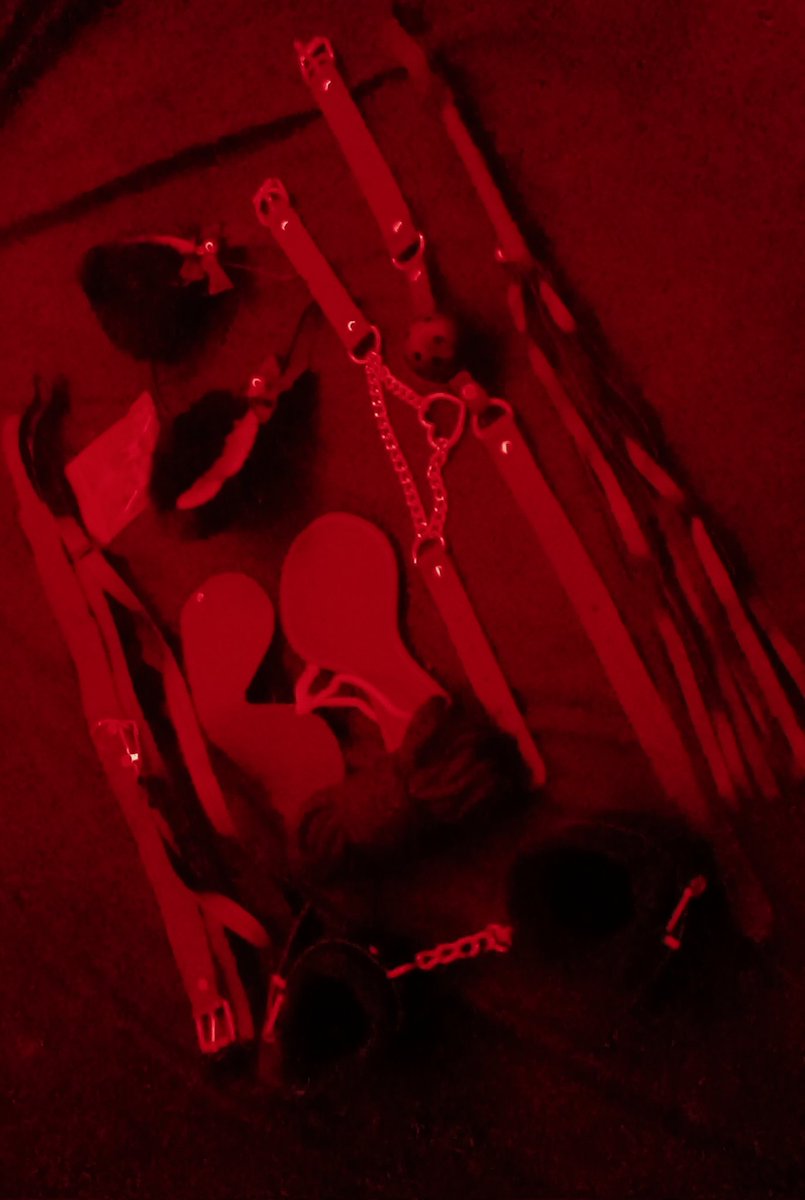 ✨𝓑𝓐𝓑𝓨 𝓓𝓔𝓔𝓡 ✨ tweet media