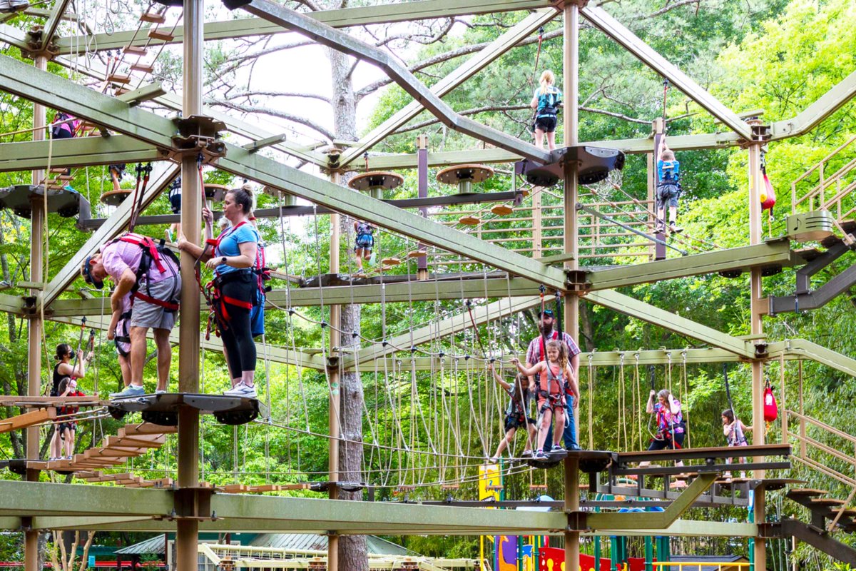 RCI® has helped transform zoos across the country into must-visit destinations through the addition of adventure attractions. After partnering with RCI for the installation of a ropes course, Zoo Atlanta saw a quick return on investment and a spike in attendance.