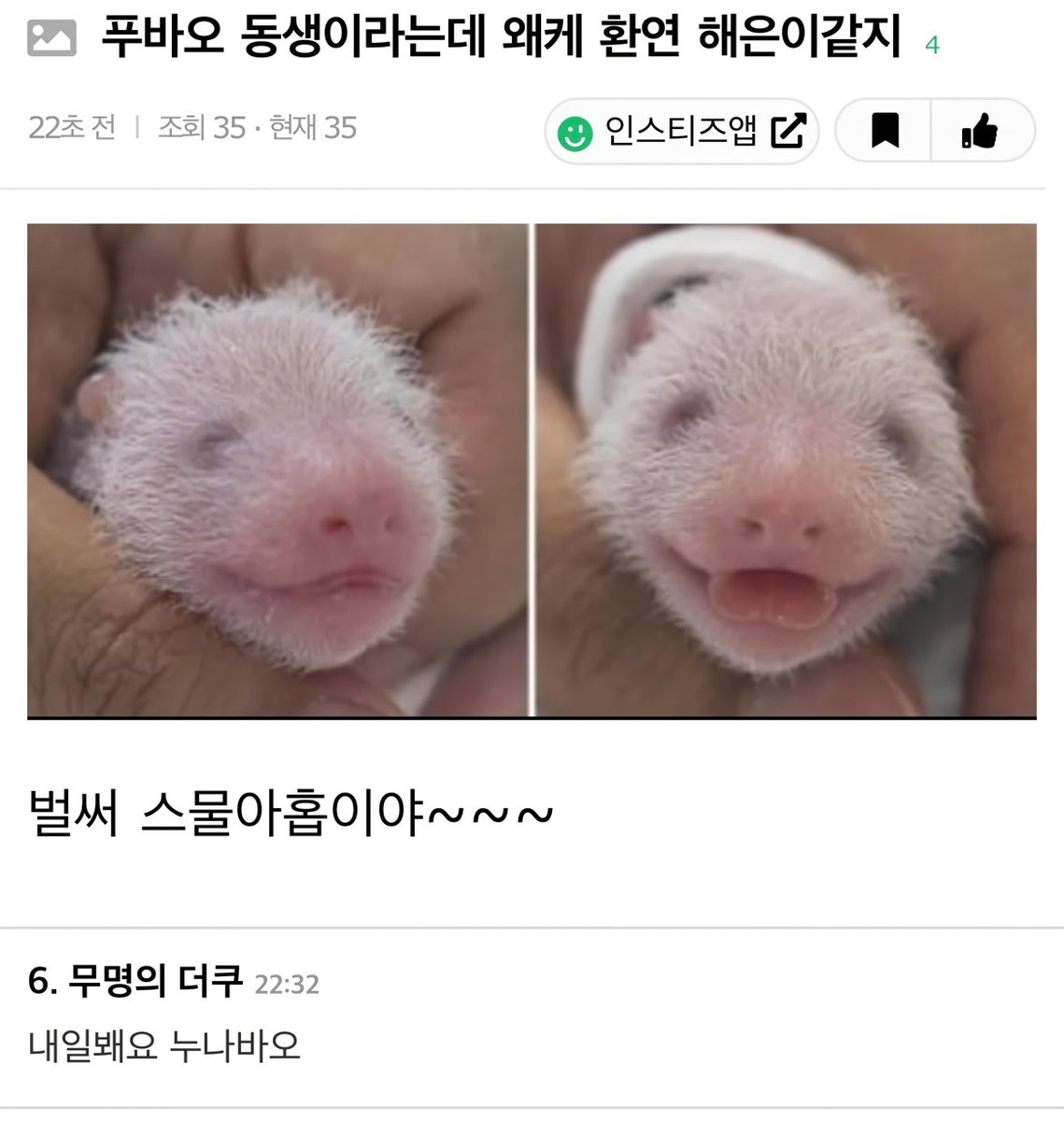 day_off_daying's tweet photo. 아 미친 진짜 존나크게웃음 https://t.co/BI8LJACDjN