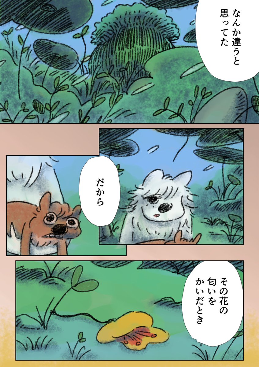 （13/16） https://t.co/baieW5g3kM