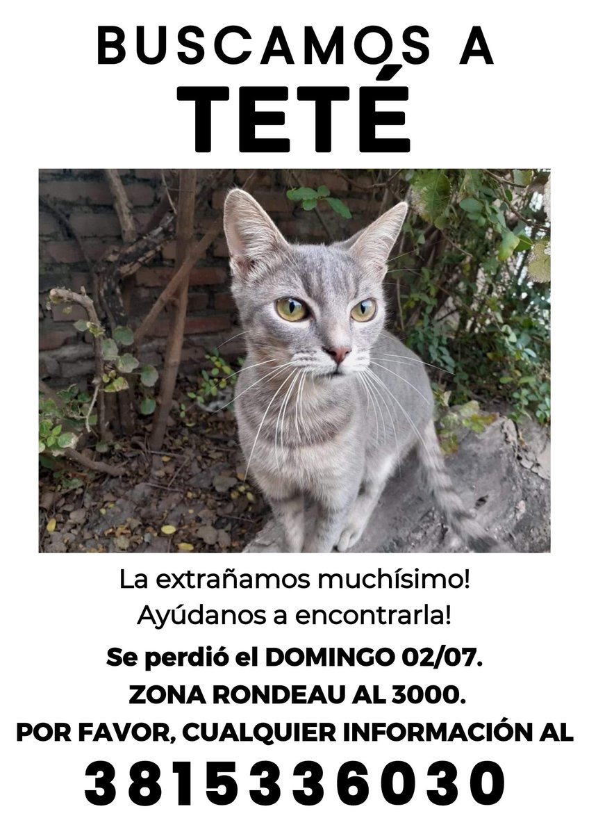 _virmatias's tweet photo. por favor me ayudan mucho difundiendo 🙏🏼 ella nunca desaparece, necesitamos encontrarla. muchas gracias https://t.co/spEfKG1Gcy