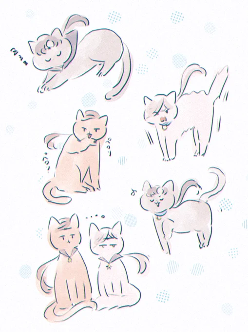 スリーにゃイツとスターにゃイツ、、