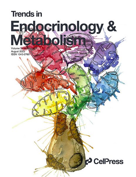 Marlen Knobloch (@knoblochlab) on Twitter photo Really proud of <a href="/Val_N_Tina01/">Valentina Scandella</a> for creating the beautiful cover <a href="/Trends_Endo_Met/">Trends in Endocrinology & Metabolism</a>! 👏🍾
An artistic illustration of our recent review “Neural stem cell metabolism revisited: a critical role for mitochondria”
Here a free link to the article:
authors.elsevier.com/a/1hJjv3jDgWmF… Really proud of <a href="/Val_N_Tina01/">Valentina Scandella</a> for creating the beautiful cover <a href="/Trends_Endo_Met/">Trends in Endocrinology & Metabolism</a>! 👏🍾
An artistic illustration of our recent review “Neural stem cell metabolism revisited: a critical role for mitochondria”
Here a free link to the article:
authors.elsevier.com/a/1hJjv3jDgWmF…