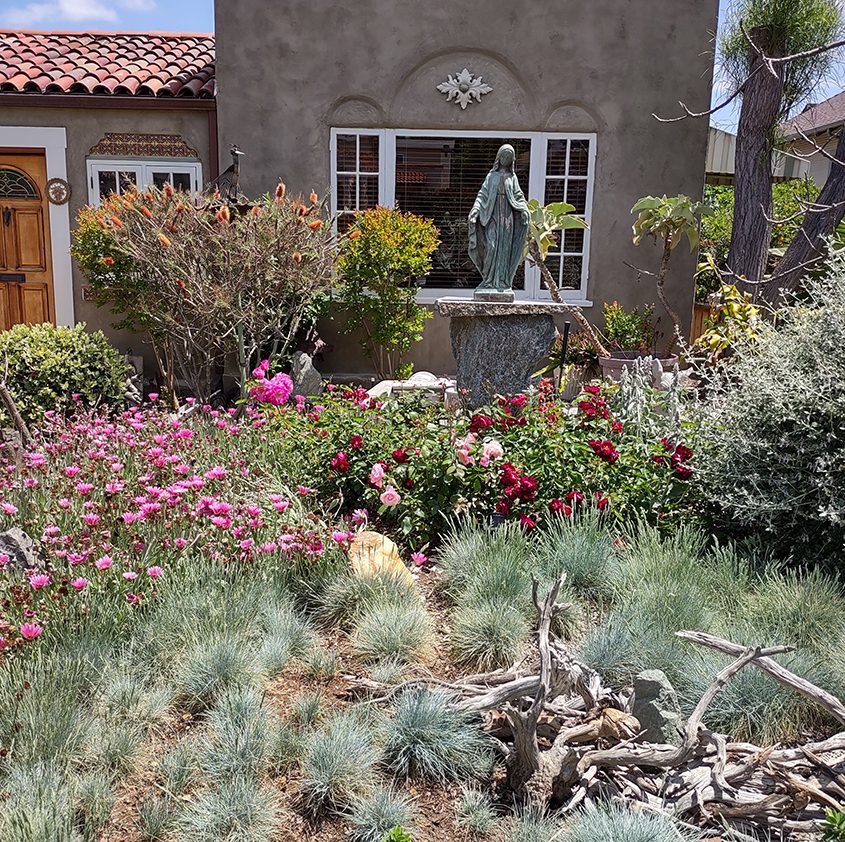 sdcwa's tweet photo. See how La Mesa homeowner Joy Andrea transformed her previous all-lawn landscape into a low-water-use front yard with a thriving fruit and vegetable garden in the back yard. https://t.co/loHfyZ5AuI #landscapecontest #thanksforplantingme https://t.co/7Pors3dYuy