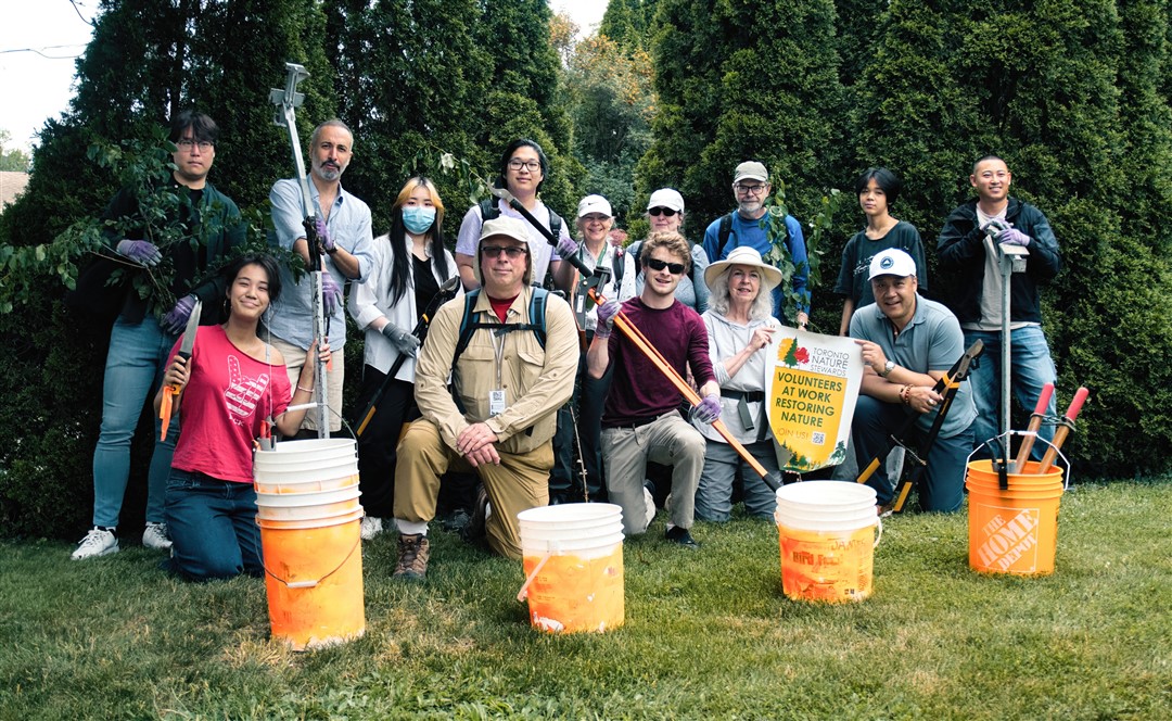 We were so happy to see our Newtonbrook Creek team partner with MP <a href="/handongontario/">Han Dong</a> and the <a href="/BVAssociation/">BVA</a> to remove invasive plants!

#restoration #invasiveplants #nativeplants #conservation #urbanlandscape #community #ravinesto