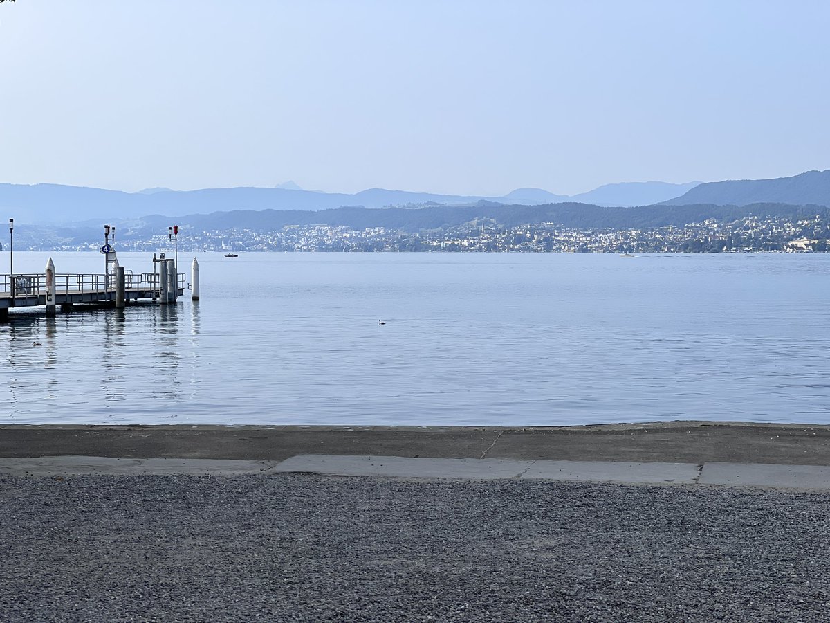 Lake Zurich