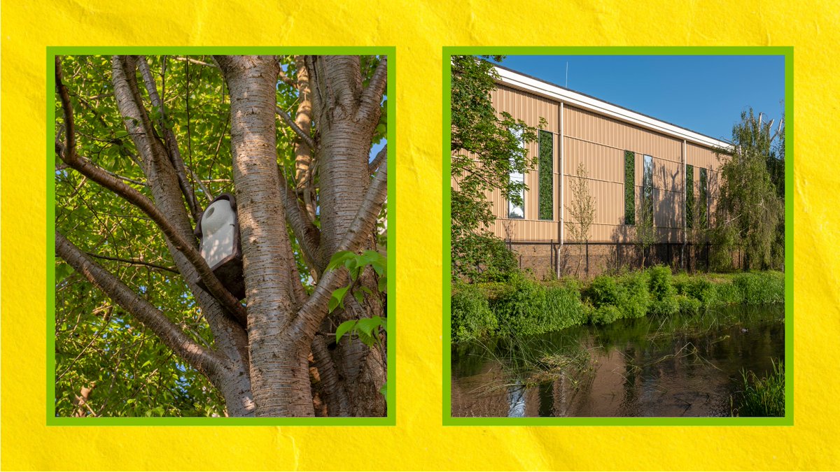 Big Yellow tweet media