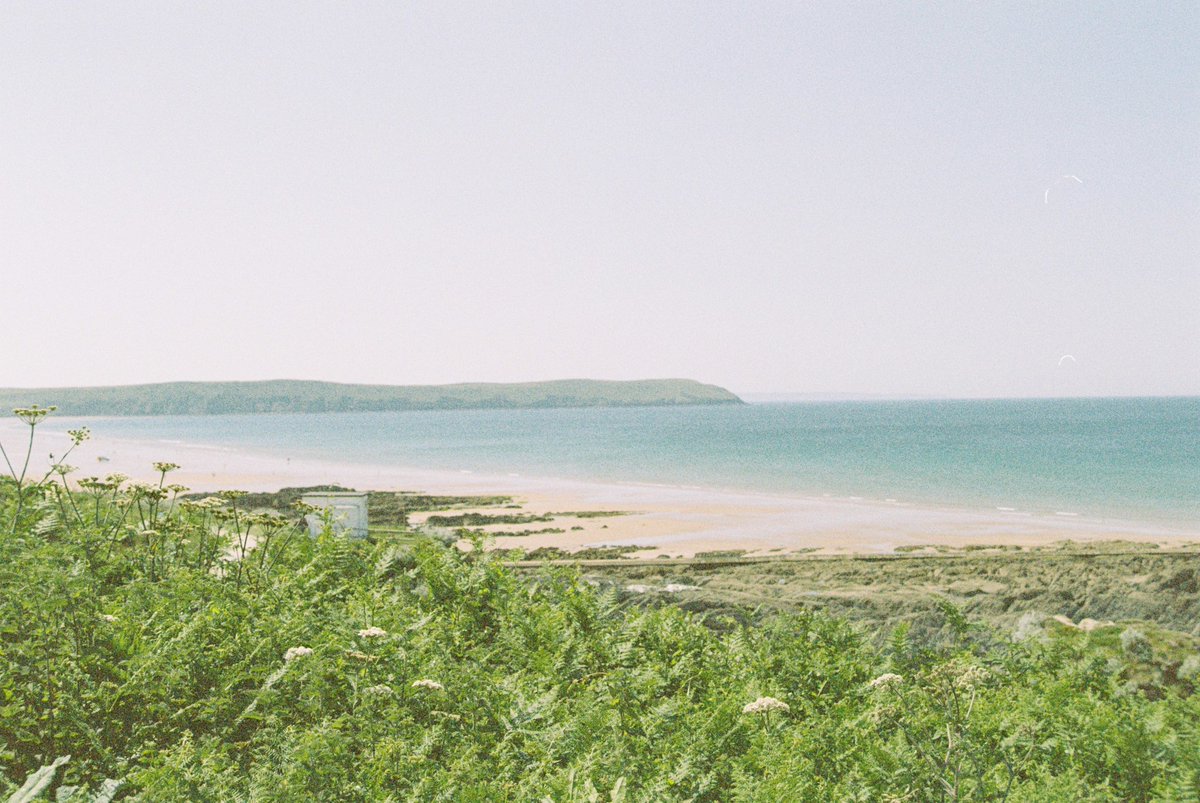 Spondon Bongles tweet media