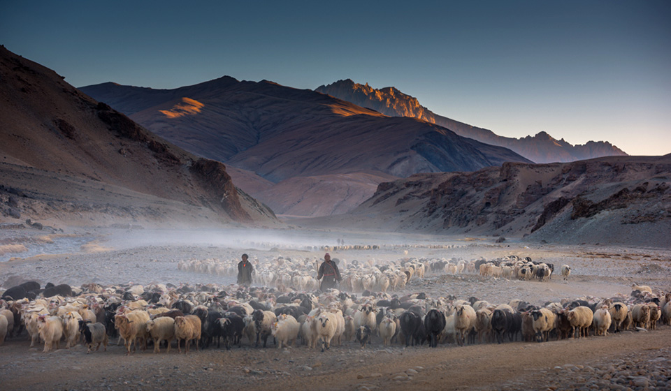 tanzinstanzin1's tweet image. Away from the Cacophony of city life 

In the lap of nature 

Refuge in the land of Himalayan passes and pristine glaciers 

Visit #LadakhNomadicFestival2023 from July 15 to 16  #VisitLadakh #JulleyLadakh #LadakhTourism 

@tourismgoi @MinOfCultureGoI @incredibleindia