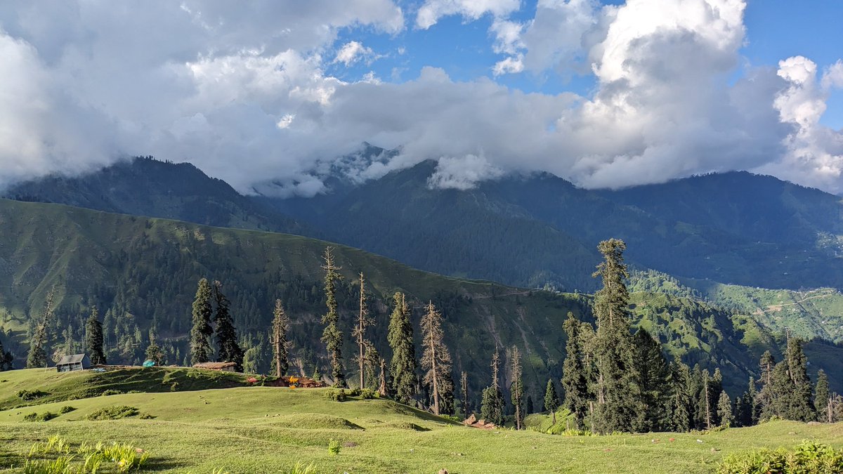 اَلِفْ tweet media