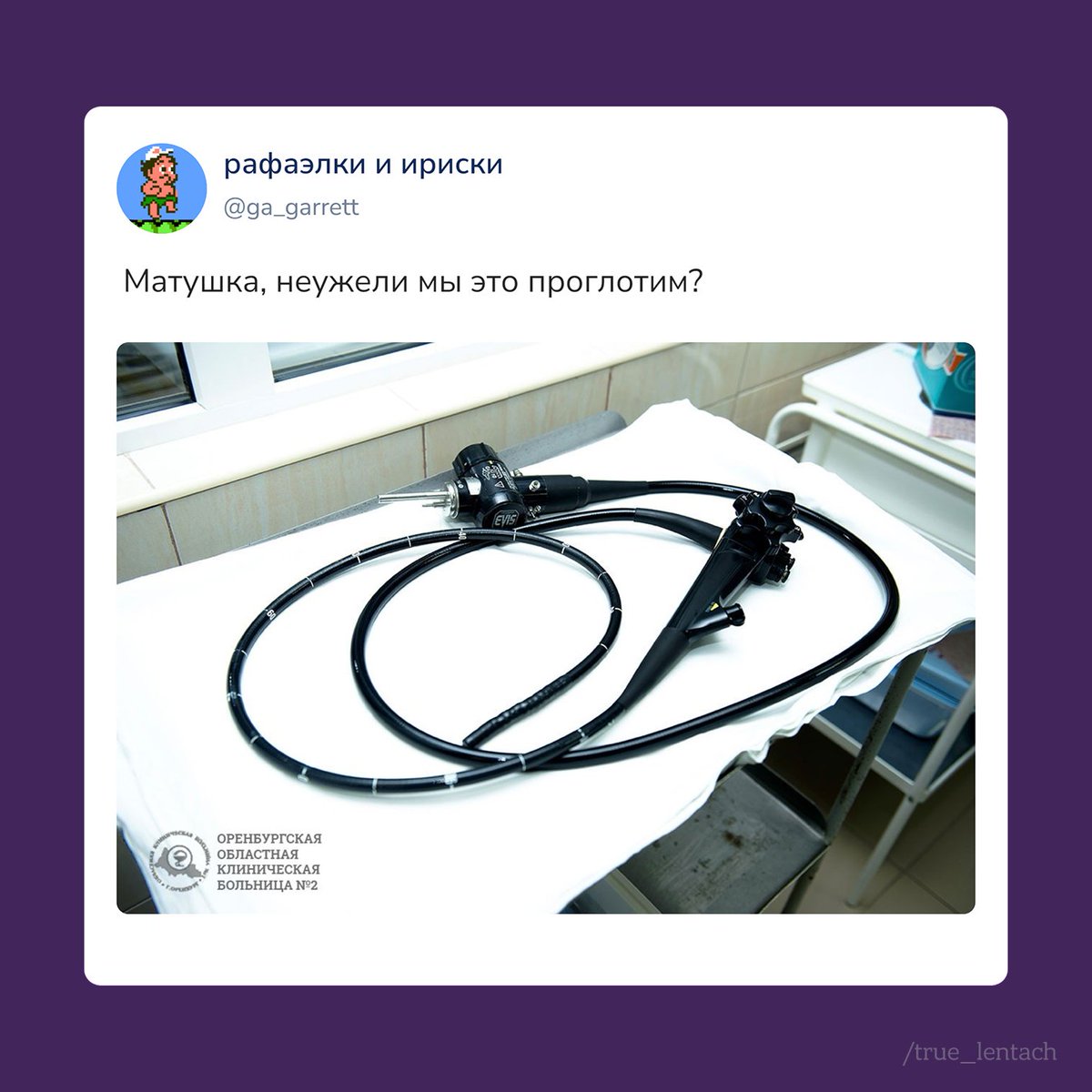 Лентач tweet media