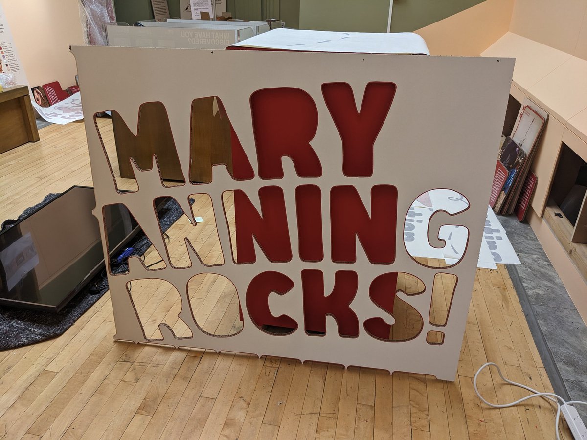 Andrew Woods (@ymt_coins) on Twitter photo Really excited about our new exhibition 'Mary Anning Rocks!' opening <a href="/YorkshireMuseum/">Yorkshire Museum</a> later this week. In that fantastically chaotic stage of exhibition install at present. Come and see it from Friday Really excited about our new exhibition 'Mary Anning Rocks!' opening <a href="/YorkshireMuseum/">Yorkshire Museum</a> later this week. In that fantastically chaotic stage of exhibition install at present. Come and see it from Friday