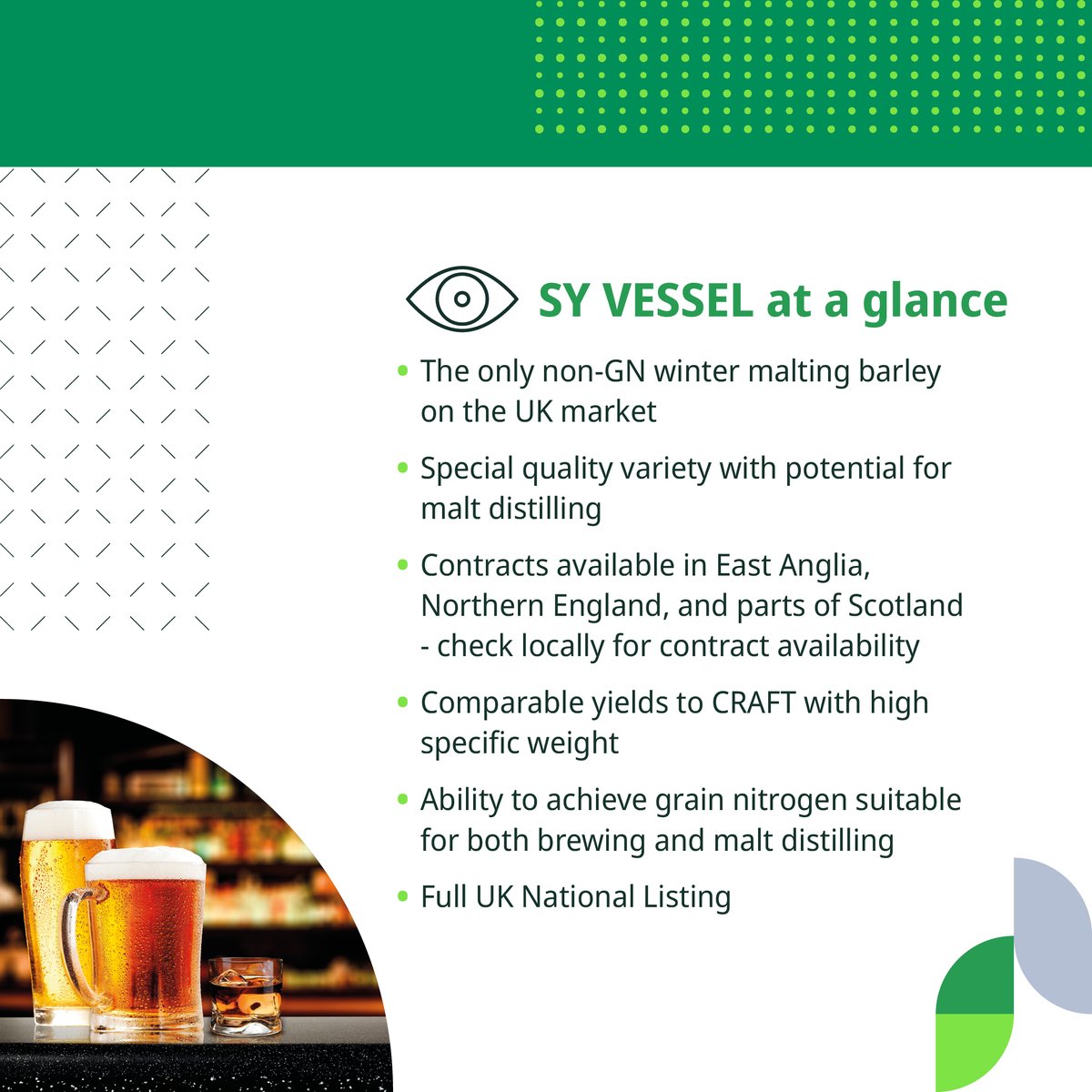 SyngentaUK's tweet photo. Thinking of growing winter barley this autumn? #SYVESSEL is the only non-GN variety on the UK market, offering malt distilling potential alongside brewing! Find out more on our website 👉 https://t.co/ZcnxxbCdtG 🍺🥃 #WinterBarley https://t.co/elhsFV4Sd4