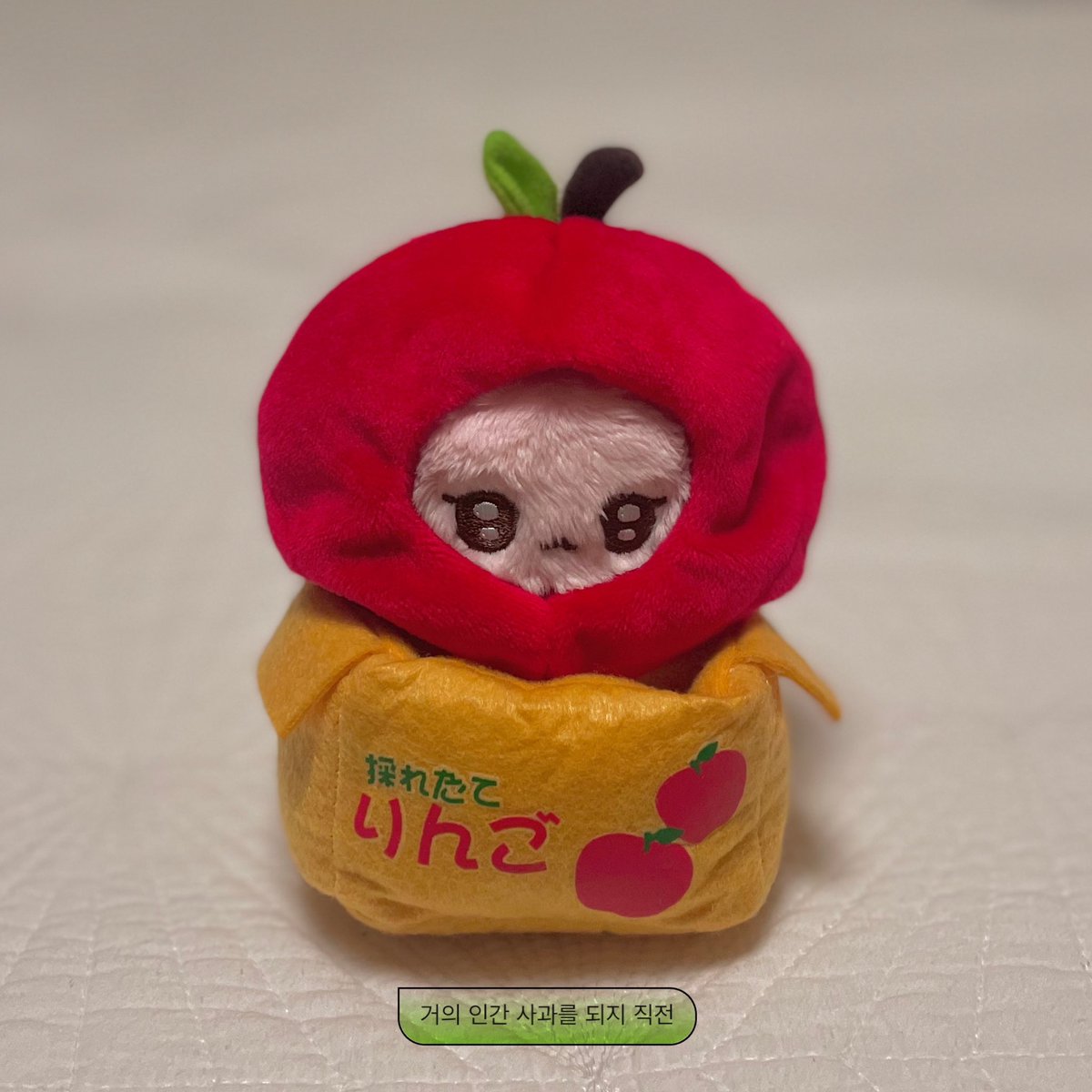 맹하니 tweet media