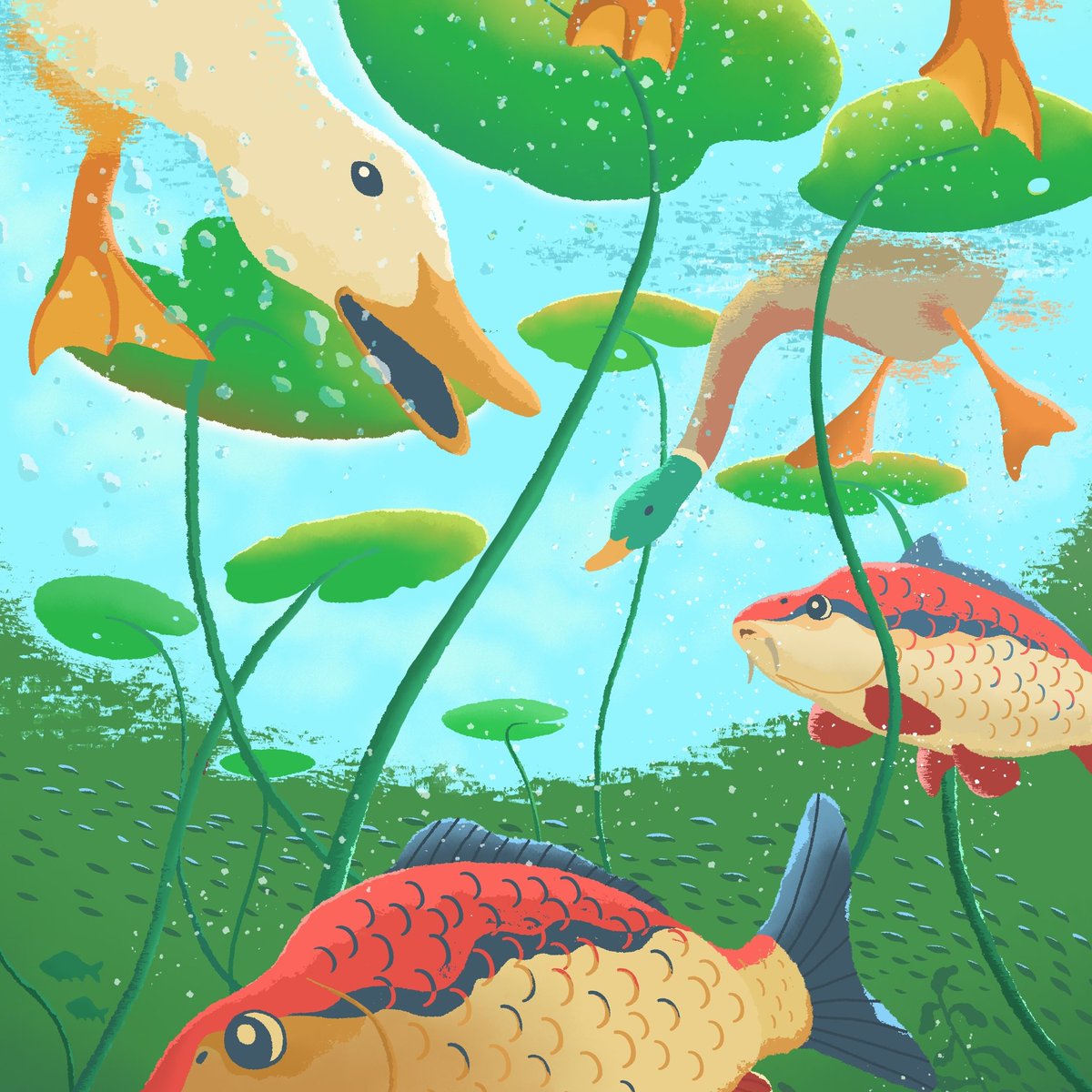 fish no humans animal animal focus scenery underwater bird  illustration images