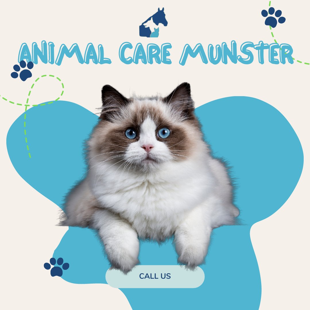 Unleashing the power of healing with Animal Care Munster 🐾🐶🐱 From improving mobility to boosting overall health, their treatments have endless benefits! #AnimalCareMunster #HealingPaws #HealthyPets