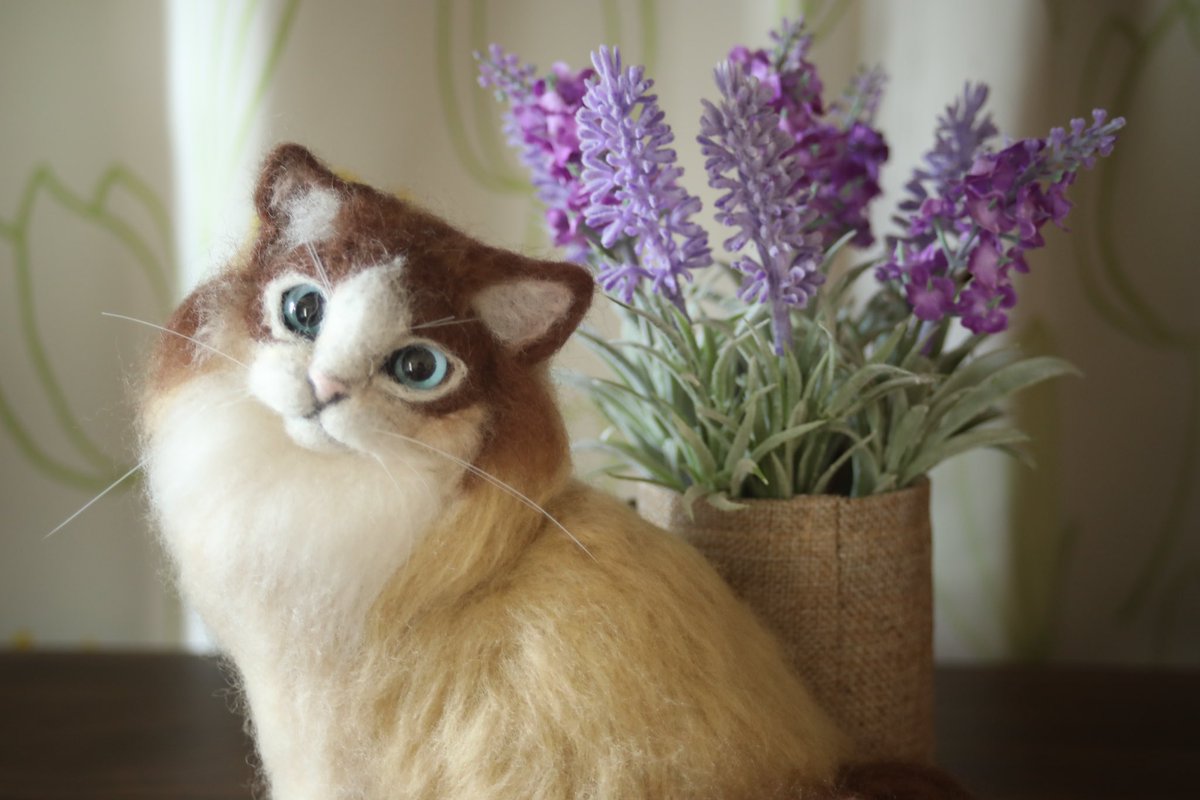ranneedlefelt's tweet photo. にゃんこ博覧会のお知らせをせず終わってしまった！
インスタばっかり更新して忘れがちで
すみません

次のイベントは
にゃんだらけ　名古屋！
16日日曜日のみ出店です(bﾟv`*)

にゃんこ博で人気だった黒猫、キジトラ、白猫など追加で制作してます♪
よろしくお願い致します。 https://t.co/wRWci2M0Op