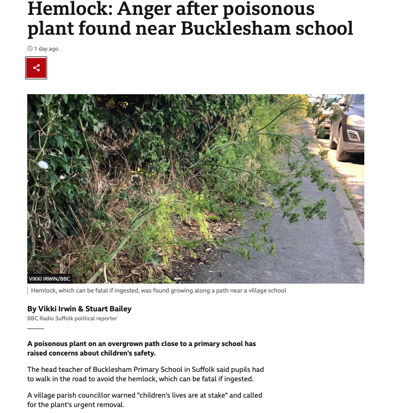 Number of children killed/seriously injured by eating/touching Hemlock in 3 years 2019/2021: Zero.

Number of children killed/seriously injured by cars in 2019/2021: 1694.

Perhaps focus on the cars and not the Hemlock.