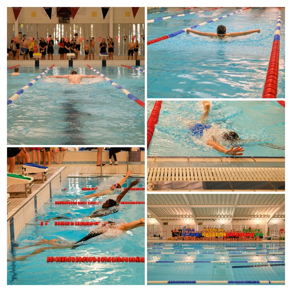 MrNuttGeography's tweet photo. Looking for a photo I took @LuttHigh this year? Find them all via the link in my bio: https://t.co/3FmjhsjfR0 https://t.co/jkaw9r2hi6