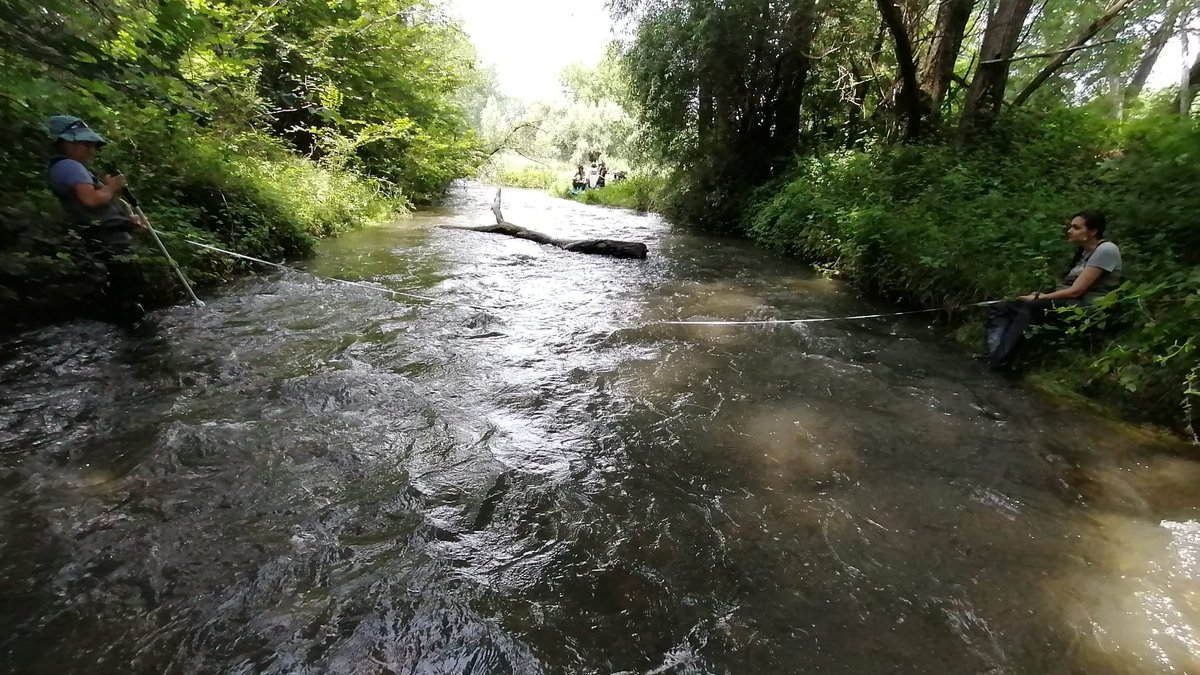 En els projectes de restauració ecològica de rius com el @LifeAlnus és molt important assegurar-ne també seguiment posterior de les actuacions. Això és el que estem fent tot l'equip del CERM aquests dies al riu Ter entre @AjTorello @MasiesVoltrega i @ajManlleu