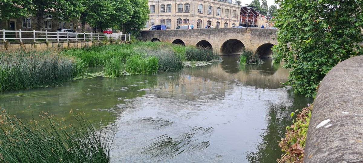 Natalie Joann Giles 🇺🇦 tweet media