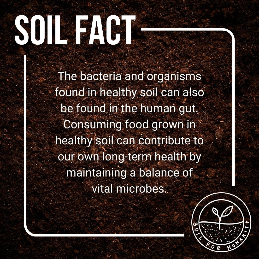 Soil for Humanity tweet media