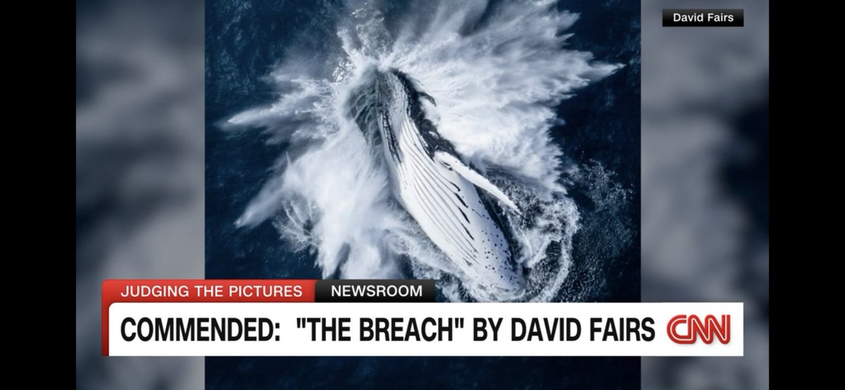 newlightvisuals's tweet photo. So this just happened 😳
After being highly commended in the Siena Drone Awards ‘The Breach’ was featured in a story on @CNNPR today. ⬇️ https://t.co/RHPKNlbKKG