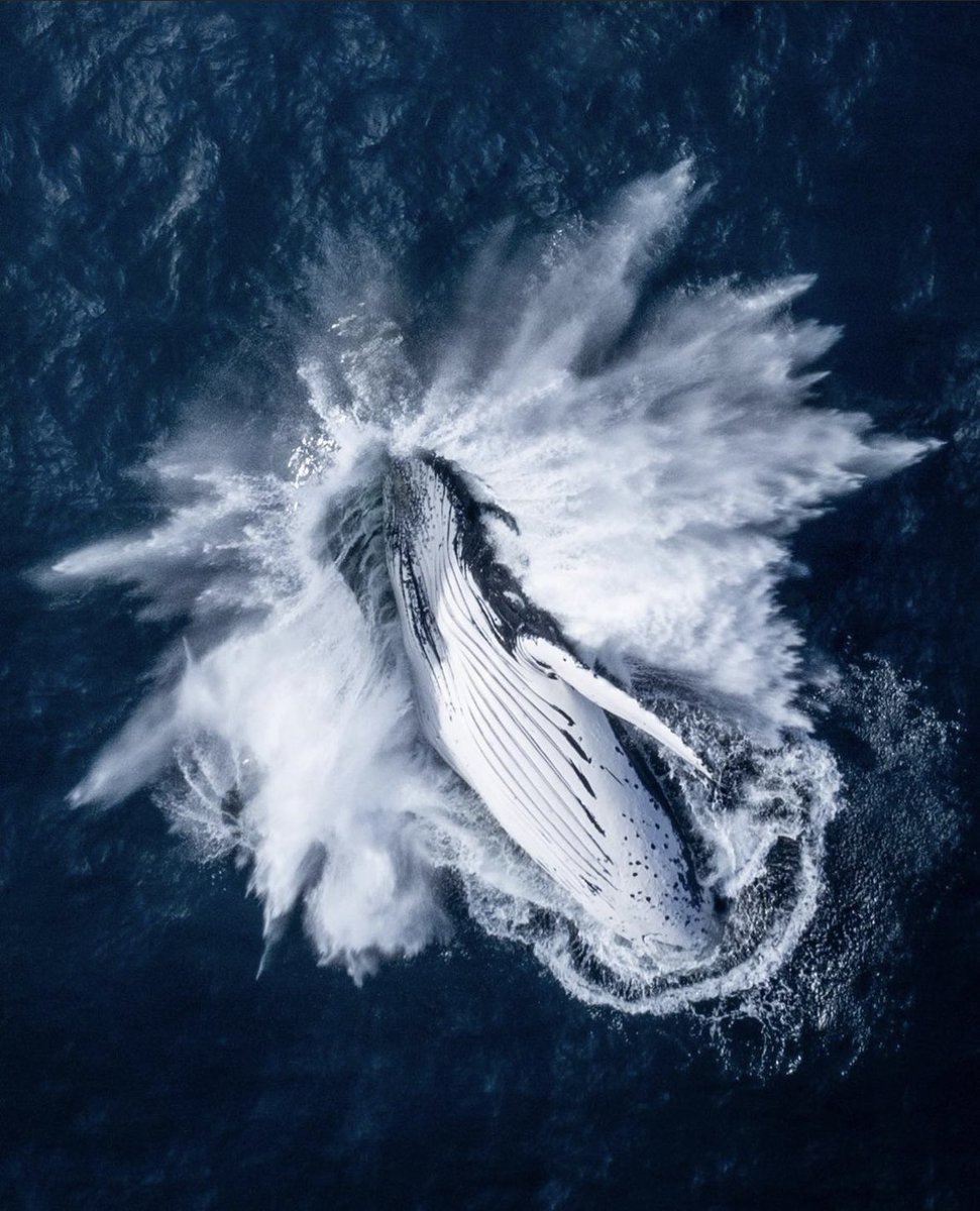 newlightvisuals's tweet photo. So this just happened 😳
After being highly commended in the Siena Drone Awards ‘The Breach’ was featured in a story on @CNNPR today. ⬇️ https://t.co/RHPKNlbKKG