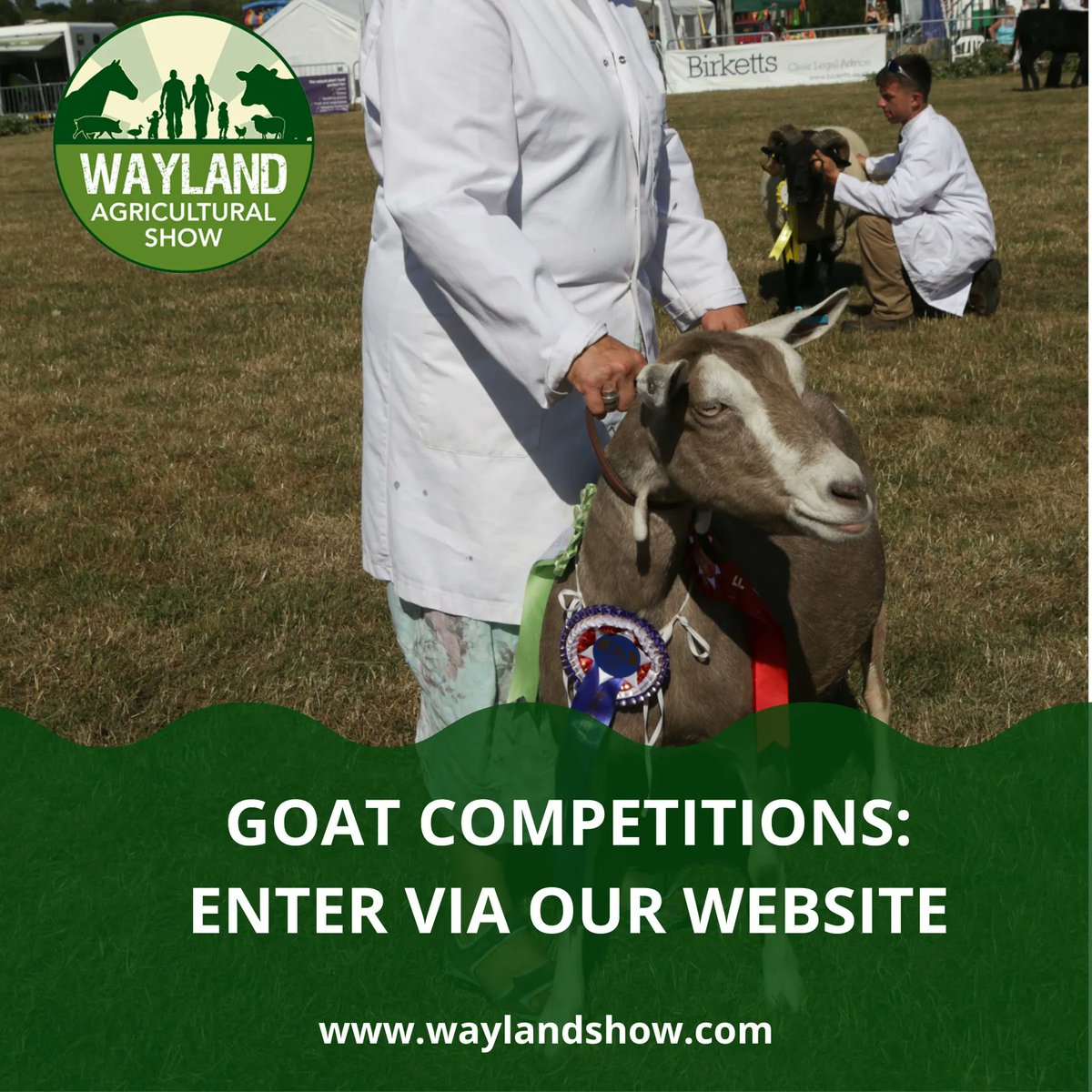 WaylandShow's tweet photo. Our livestock competitions are always very popular and represent the very essence of a country show. Forms to enter the goat competitions are now online.

#countryshow
#Waylandshow
#goatcompetitions
#lovestockcompetitions
#norfolklife https://t.co/pMNm6I6FZA