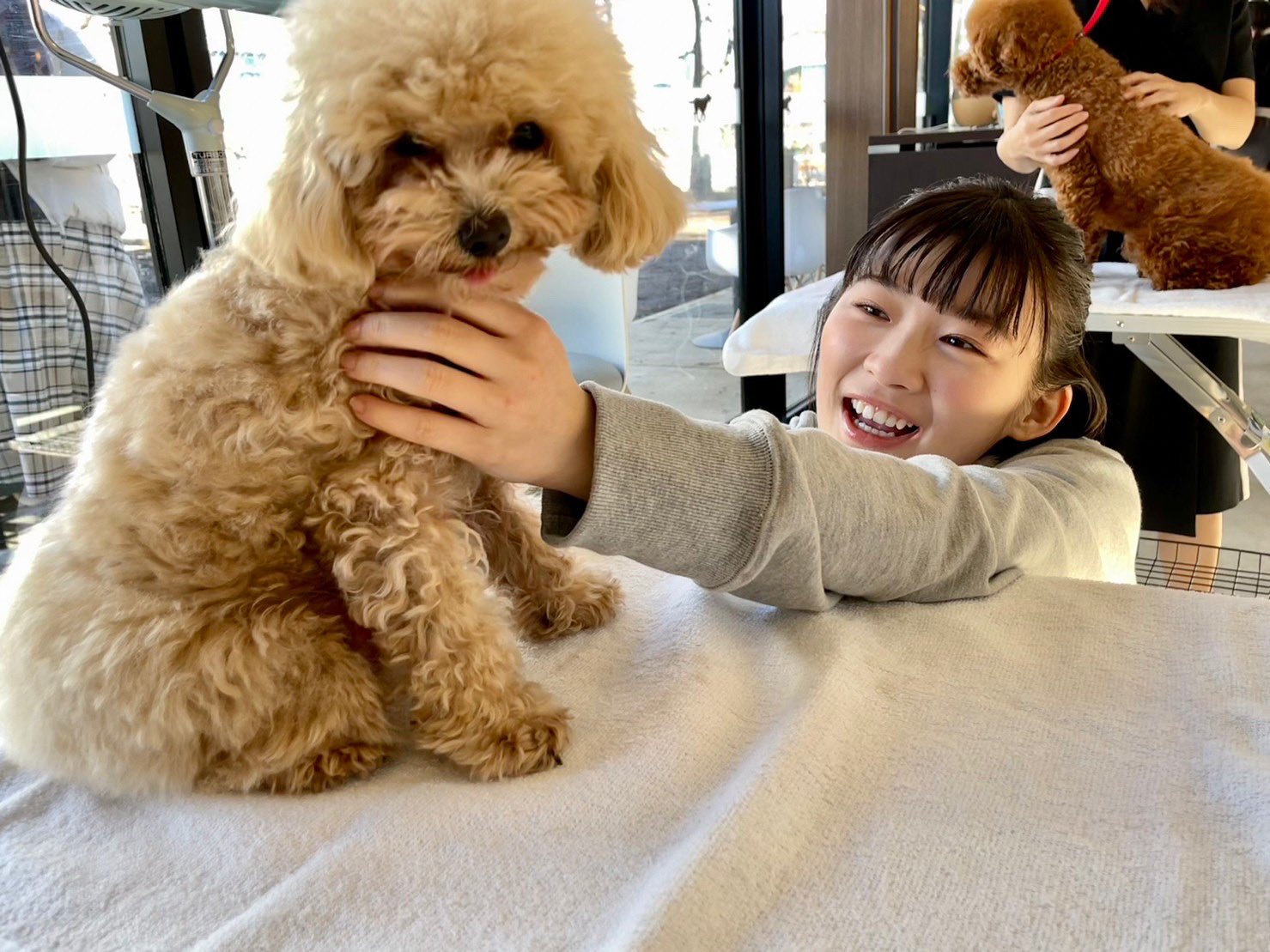 シッコウ!!～犬と私と執行官～ Blu-ray BOX〈4枚組〉　伊藤沙莉 ドラマ『シッコウ!!～犬と私と執行官～』Blu-ray＆DVD BOX 2024