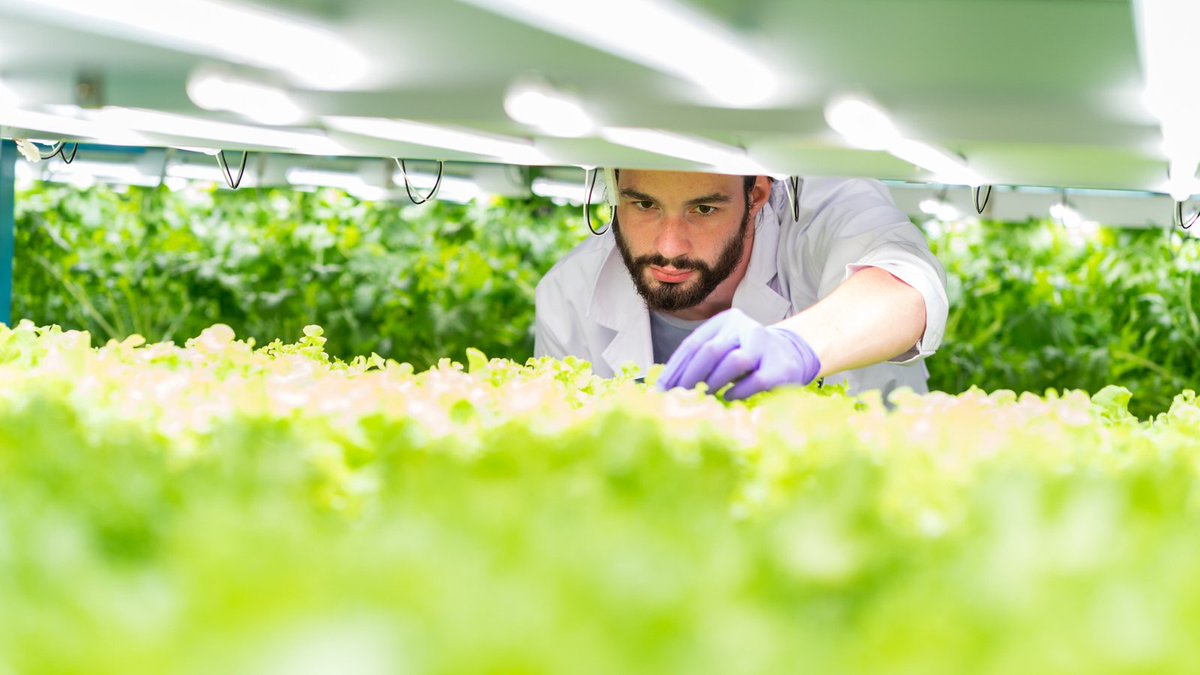 The <a href="/UKRI_News/">UK Research and Innovation</a> Transforming #FoodProduction (TFP) challenge, delivered by <a href="/innovateuk/">Innovate UK</a>, has launched its digital portfolio brochure, demonstrating the impact of #BusinessInnovation.

Explore the game-changing solutions supported under the challenge:

🍅📄 ow.ly/UmKU50P8o2i
