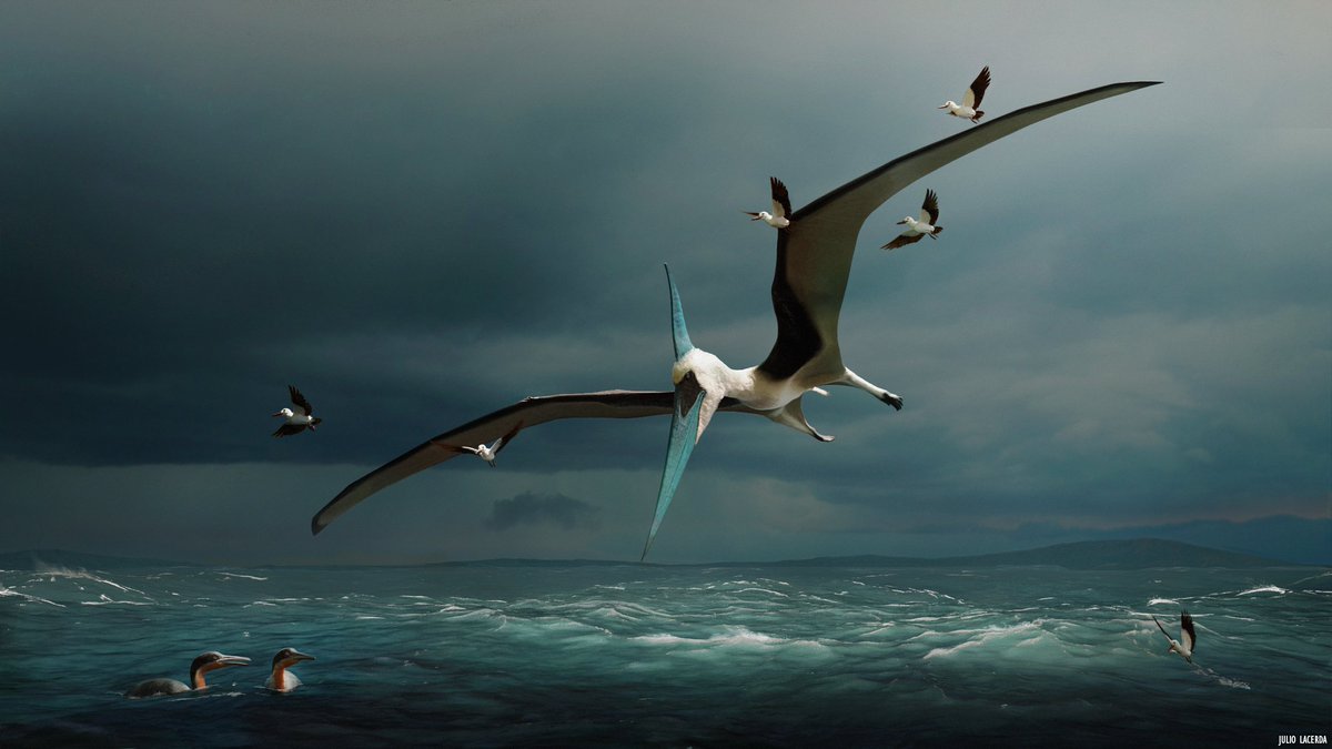 JuliotheArtist's tweet image. Hello #PortfolioDay! I paint ghosts of animals past!