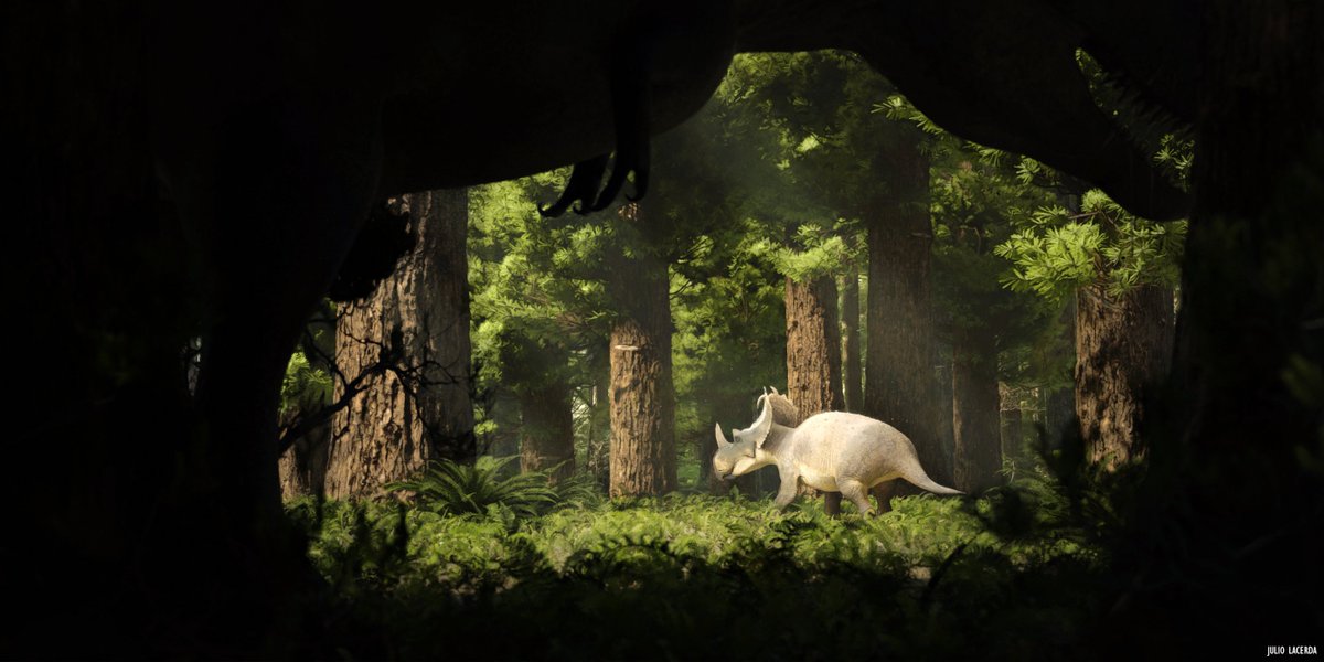 JuliotheArtist's tweet image. Hello #PortfolioDay! I paint ghosts of animals past!