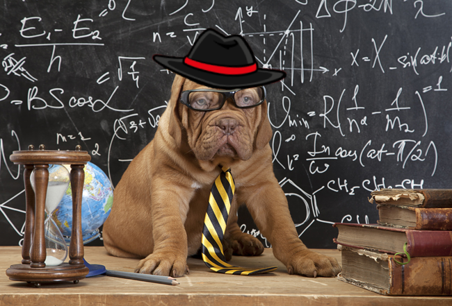 Don Eloni Dogetti tweet media